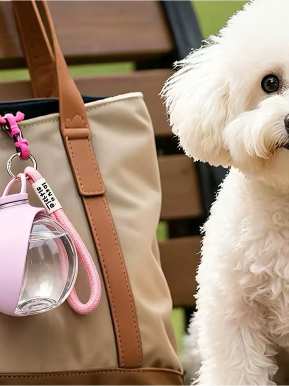2-in-1 Portable Dog Water Bottle with a Foldable Silicone Bowl.